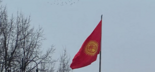 flag of Kyrgyzstan 054